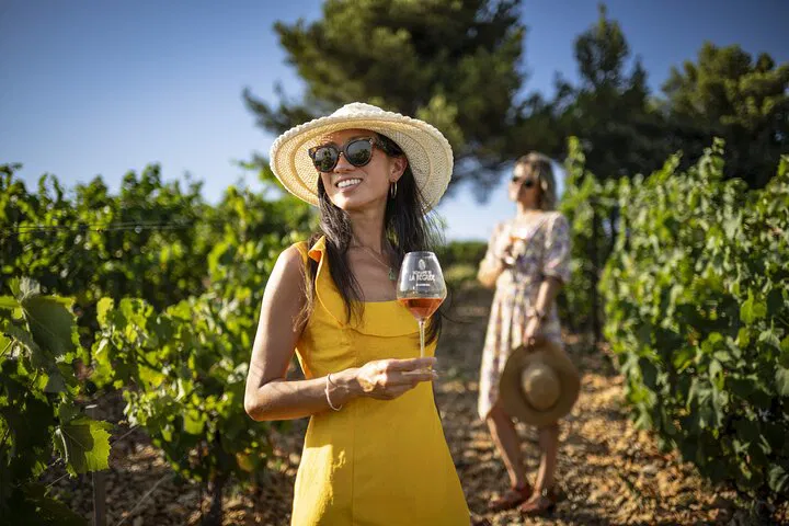 Uncork Provence: A Luxurious Private Wine Tour from Cannes