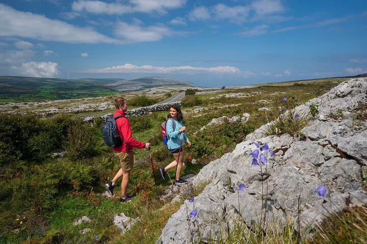 Uncover Burren's Beauty: A Private Guided Mullaghmore Hill Walk & Farm Tour