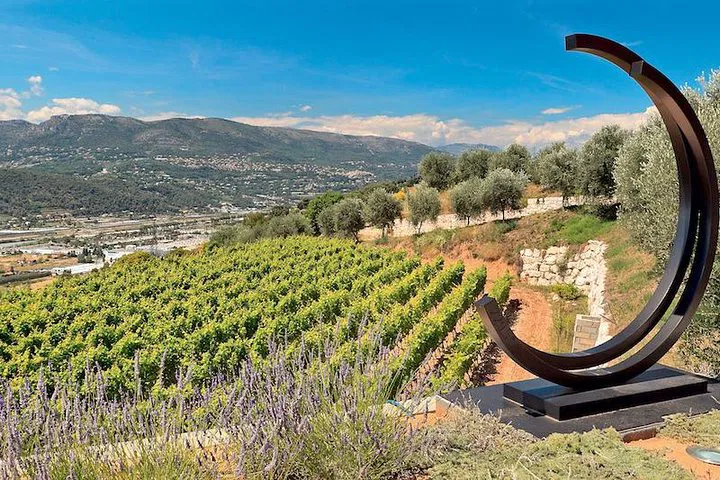 Sip & Savor: Nice Organic Wine Tour with Provençal Bites