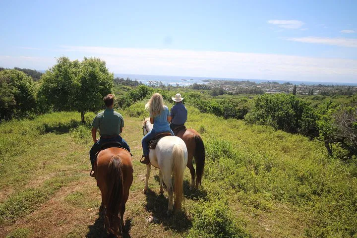 Saddle Up for Breathtaking Views: Oahu's Scenic Horseback Adventure