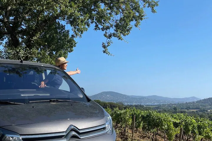 Unveil Provence's Rosé Secrets: A Personalized Wine Tour from Saint Tropez