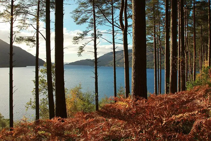 Loch Lomond & Whisky Tour: A Taste of Scotland's Best from Glasgow