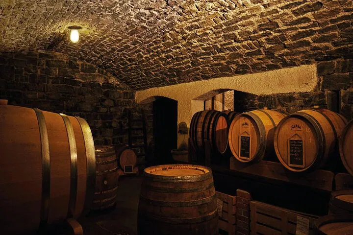 Indulge in Lake Como's Flavors: A Private Wine Tasting Journey