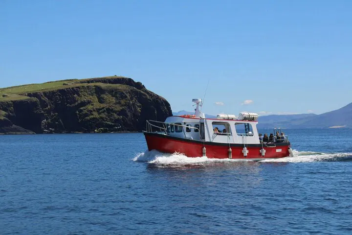 Dingle Eco Tour: Explore Ireland's Wild Coast
