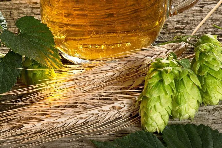 Canandaigua Lake Brewery Tour: Taste & Explore!