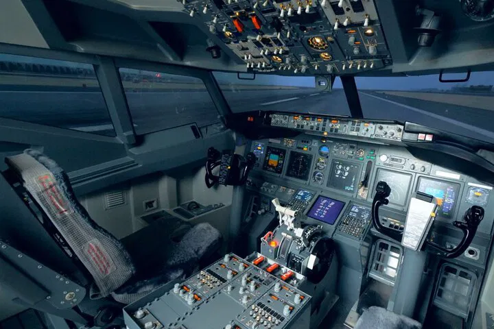 Pilot a Flight Simulator: 60-Minute Cruise Experience
