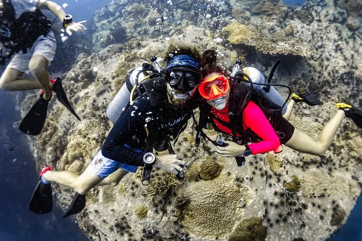 Explore Koh Tao's Underwater Wonders: Fun Diving Packages for Certified Divers