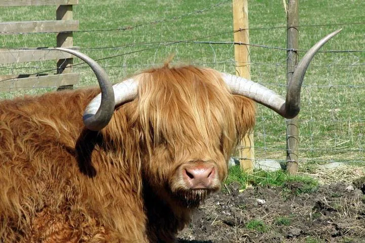 Skye & Highlands: 3-Day Tour from Glasgow