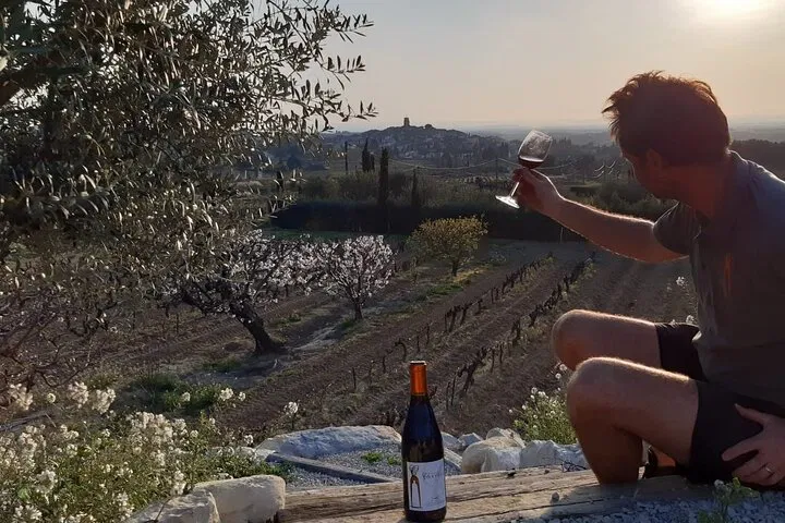 Sablet Wine Tasting: Rhône Valley's Generational Vines Await!