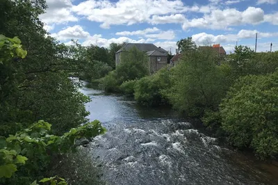 Image 2