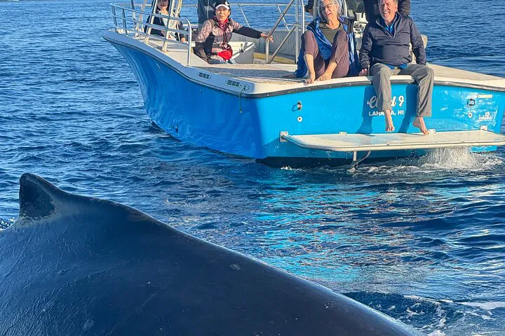 Kaanapali Whale Watch: Guaranteed Sightings & Underwater Sounds