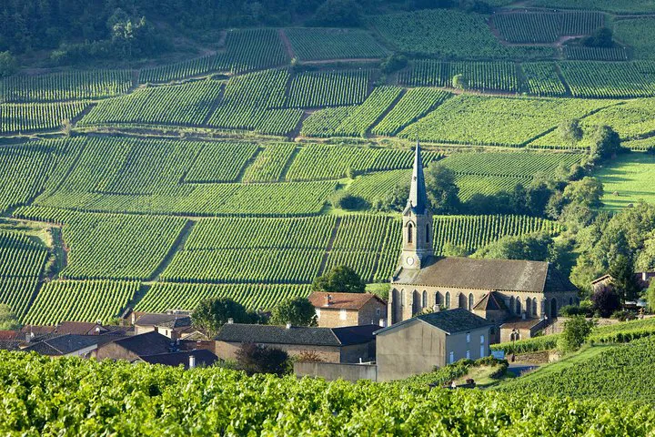 Burgundy Wine Tour: A Luxurious Day Trip from Paris by High-Speed Train