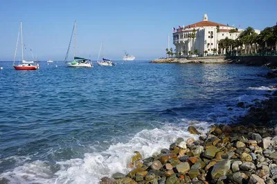 Image 3
