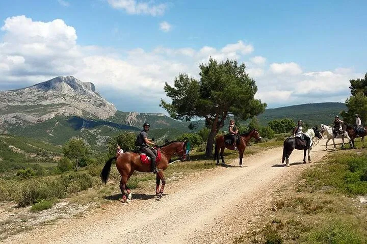 Sainte Victoire Horseback Adventure: Provence's Sensory Escape