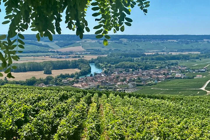 Indulge in Luxury: Private Champagne Tour from Paris