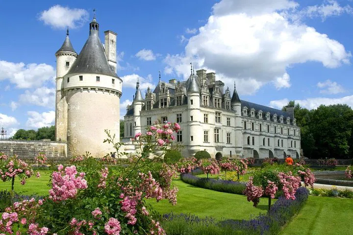 Unveiling Loire Valley's Majesty: A Private Castle Tour from Paris