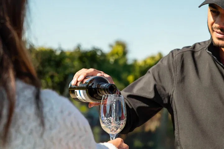 Uncork Niagara: Grape to Glass Wine Immersion