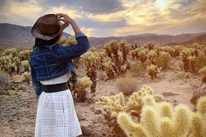 Joshua Tree & Pioneertown: Wild West Adventure!