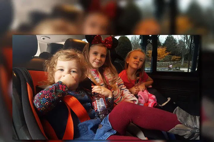Stress-Free Disneyland Paris Transfer: Private Shuttle from Paris