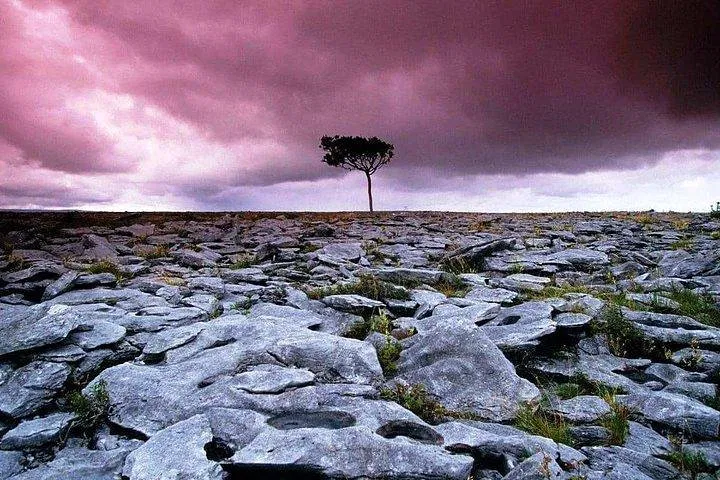 Burren Walk & Perfumery Visit: Clare's Hidden Gems