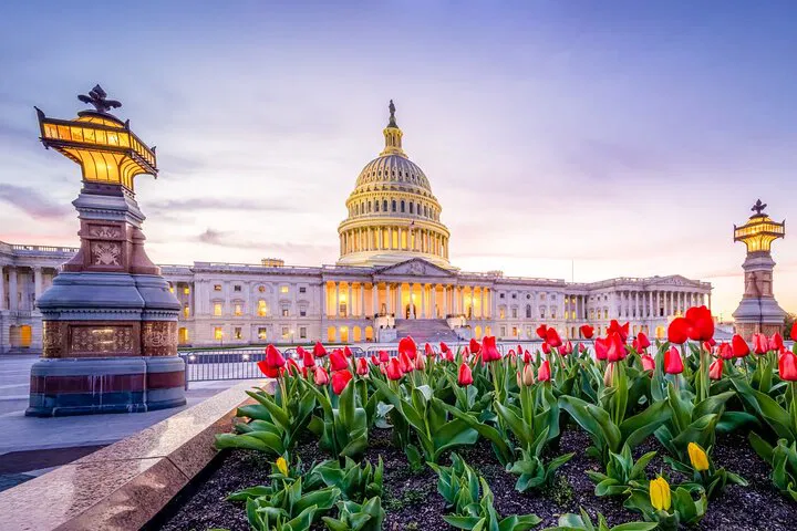 D.C. Movie Tour: See Film Locations & Famous Landmarks!