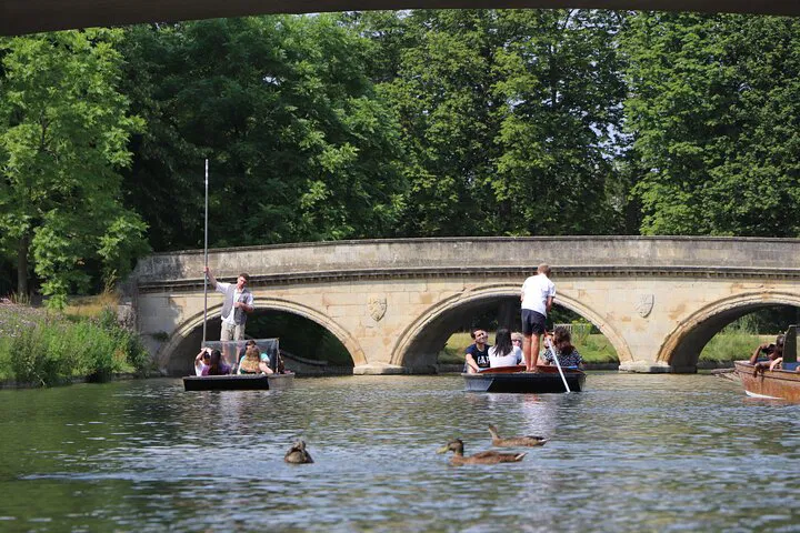 Glide Through Cambridge: A Shared Punting Adventure on the River Cam