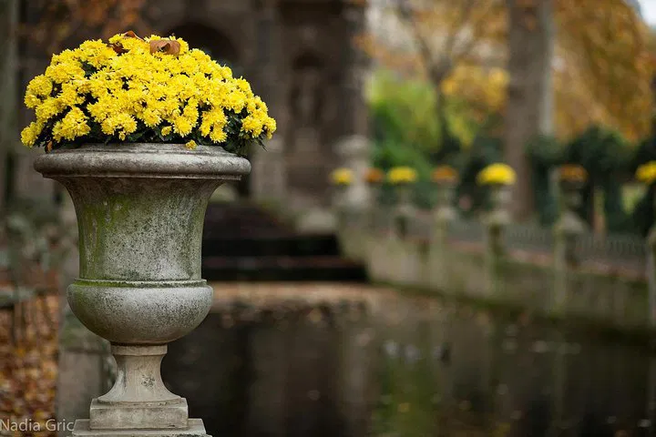 Uncover Paris's Medieval Charm: A Private Latin Quarter Walking Tour
