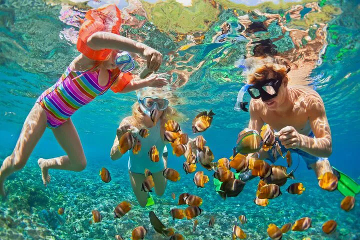 Similan Islands Snorkeling: A Full-Day Underwater Adventure from Khao Lak