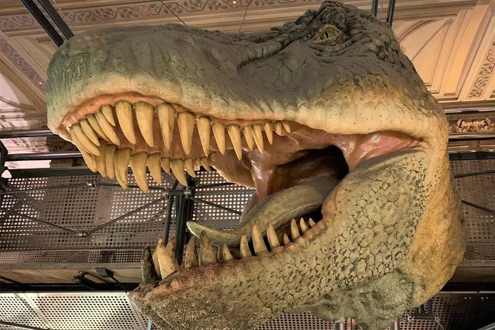 Roar-some Fun: Discover Dinosaurs at London's Natural History Museum (Kids' Tour)