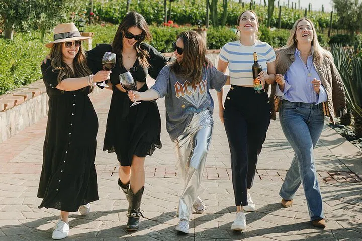 Craft Your Dream Wine Tour: Valle Experience for Groups
