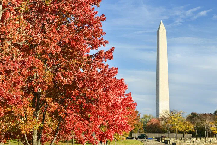 Uncover DC's Iconic Landmarks: A Self-Guided Audio Adventure