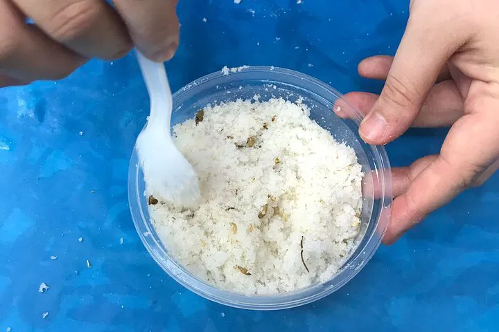 Craft Your Signature Scent: DIY Body Scrub Workshop in Belize