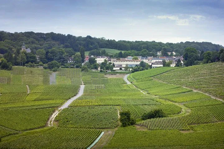 Indulge in Luxury: Private Champagne Tour from Paris