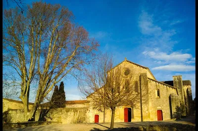 Image 3