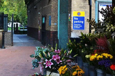 Image 3