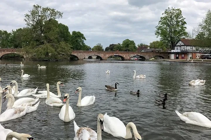Discover Shakespeare's Legacy: A Stratford-Upon-Avon Private Tour