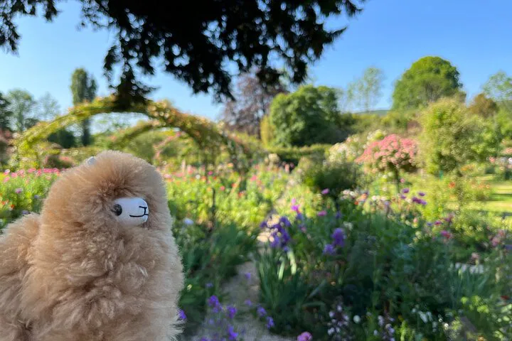 Unforgettable Day: Private Giverny & Versailles Tour from Paris