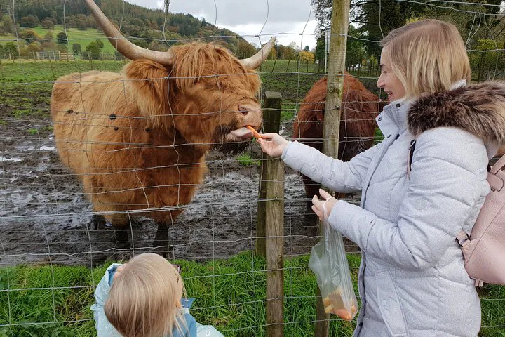 Loch Ness, Highlands & Blair Castle Private Day Tour