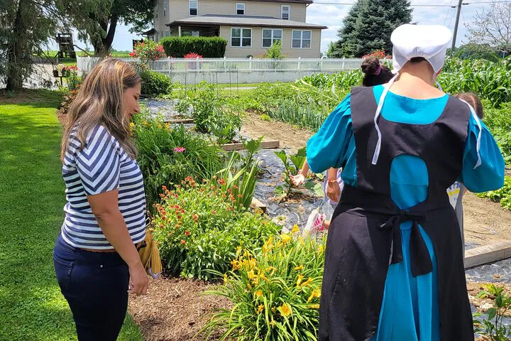 Unveiling Amish Life: An Exclusive Lancaster Immersion