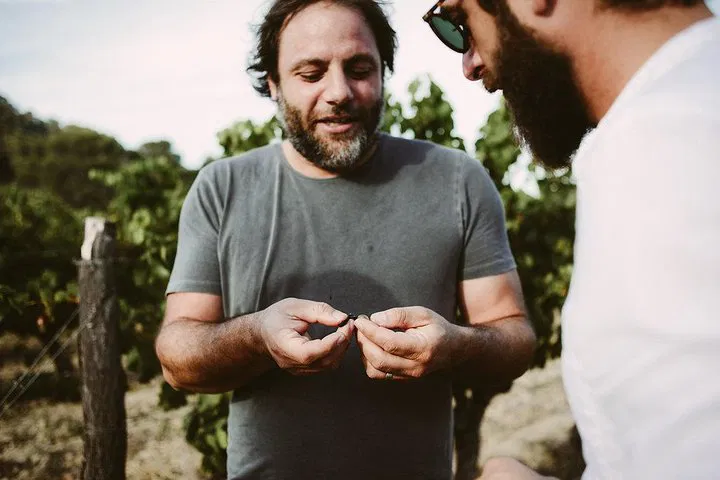 Pic Saint Loup Wine & Food Tour with Local Expert