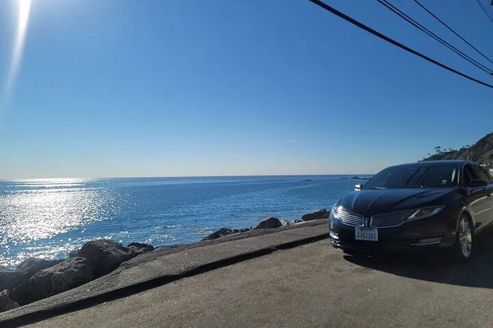 Private LAX ➡️ Long Beach Cruise Port Transfer
