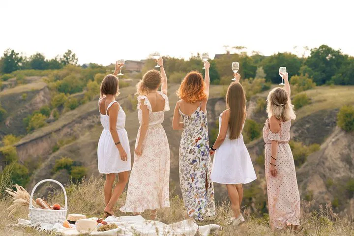 Unveiling Provence's Wine Secrets: A Half-Day Vineyard Escape