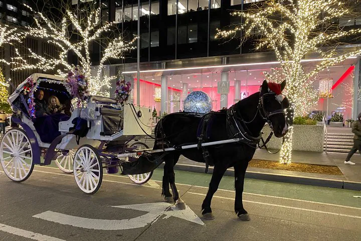 Magical NYC Christmas Lights & Central Park Horse Carriage Ride