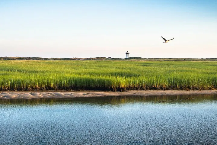 Discover Cape Cod's Charm: A Guided National Seashore Adventure