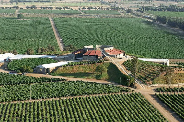 Discover Baja's Old Wine Route: An All-Inclusive Ensenada Journey