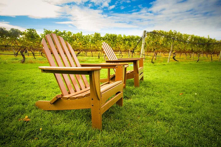 Uncork Long Island: A Luxurious Private Wine Tour Experience