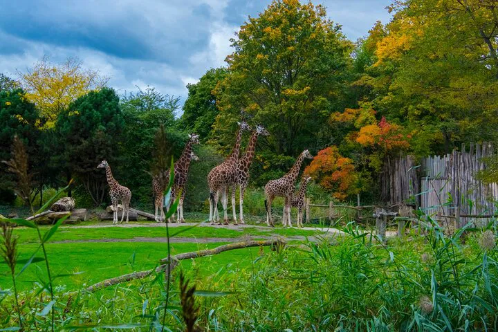 Leipzig Zoo: Skip the Ticket Line & Explore!