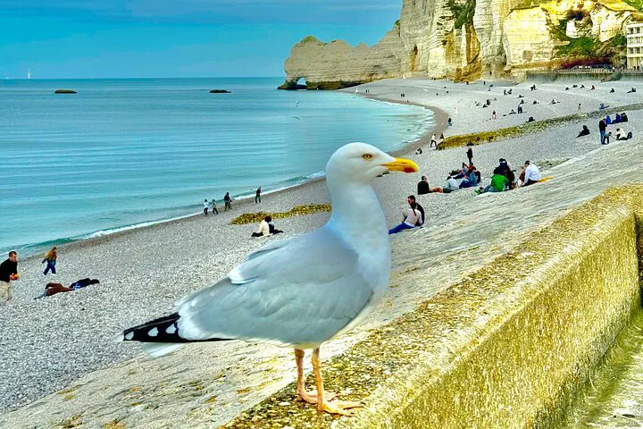 Normandy Coast Escape: Rouen, Étretat & Deauville Day Trip from Paris