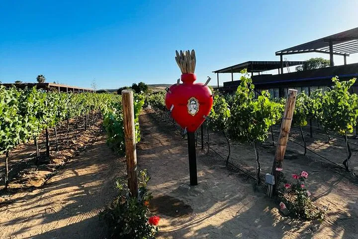 Valle de Guadalupe Wine Route: An Immersive Culinary & Wine Tour