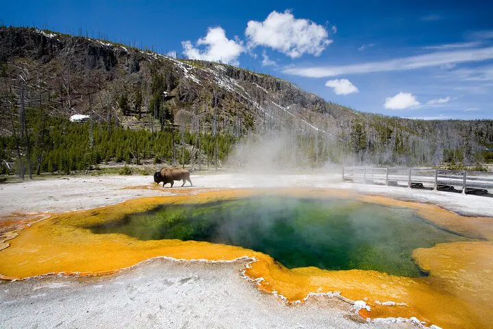 Epic 8-Day West Coast Adventure: San Francisco, Yellowstone, Grand Canyon & Vegas!